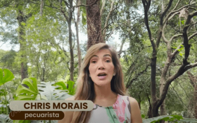 Chris Morais nova colunista do Canal do Criador