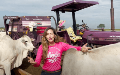 Bem-estar animal na recria e terminação