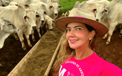 Pecuarista aumentou em seis vezes a taxa de lotação na recria de gado de corte