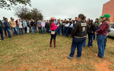 Estudantes de agronomia visitam propriedade rural referência em pecuária sustentável