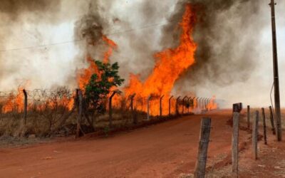 Pecuarista chora ao lutar contra incêndio na fazenda em SP: “triste demais”