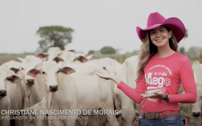 Fazenda Aerorancho | Pecuária médio porte