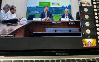 MEGA Reunião da Câmara Setorial da Cadeia Produtiva da Borracha Natural