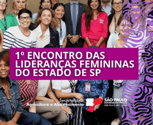 Março Mês da Mulher