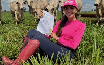 MEGA paz de alma, em harmonia com a natureza sentada dentro do pasto, com os gado, tranquilo e sereno, alguns deitados, essa é uma das melhores partes do dia