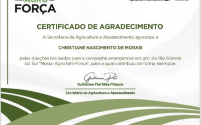 MEGA certificado, vamos unidos nessa MEGA ajuda humanitária emergencial para o RS