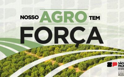 Solidariedade: Agronegócio paulista promove campanha emergencial para o Rio Grande do Sul