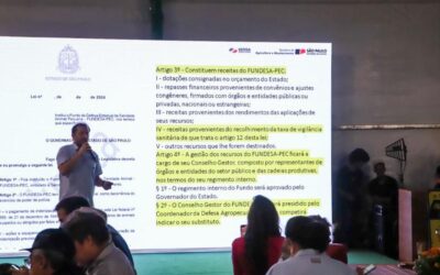 Fundesa-PEC será o Fundo Complementar Indenizatório para ressarcimento de produtores em caso de novos focos de febre aftosa