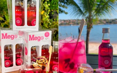 Lançamento MEGA DRINK SUSTENTÁVEL, por CACHAÇA SP